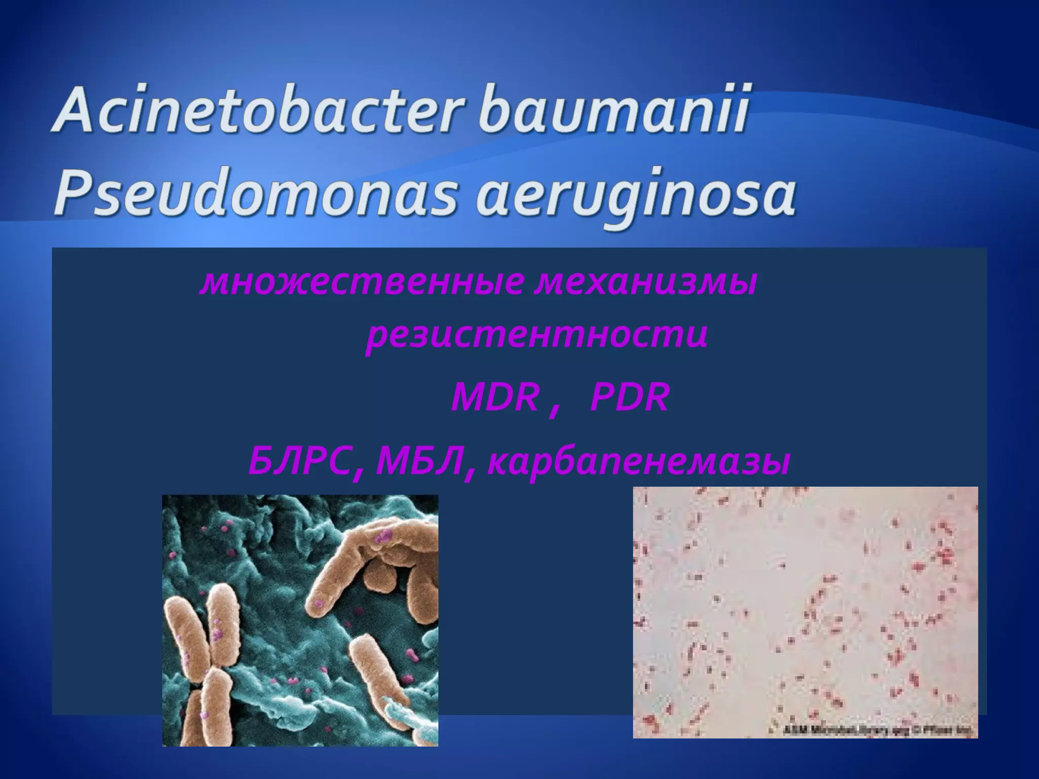 множественные механизмы
       резистентности
           MDR , PDR
  БЛРС, МБЛ, карбапенемазы
 