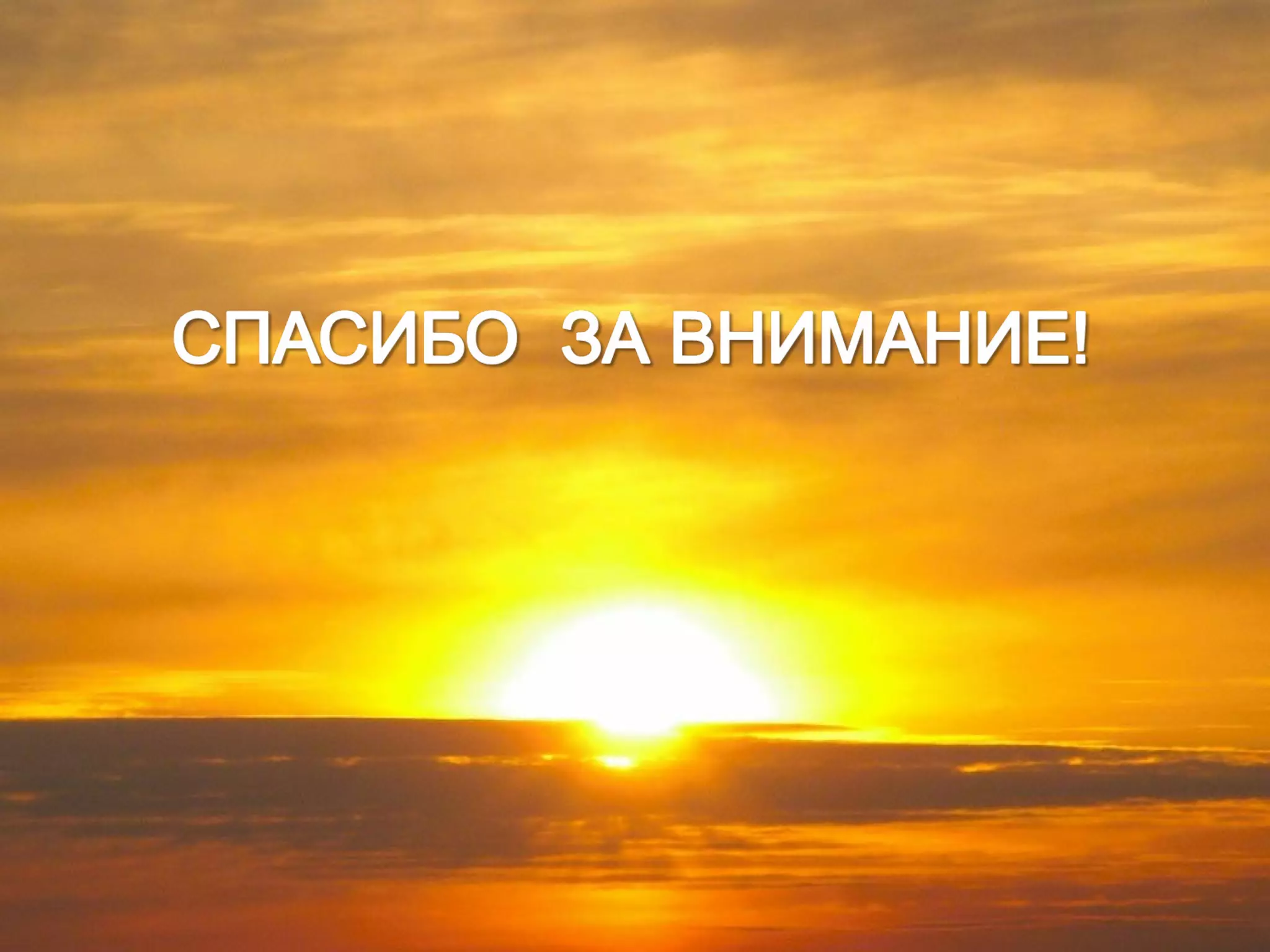 доклад аббасова   антибиотикотерапия