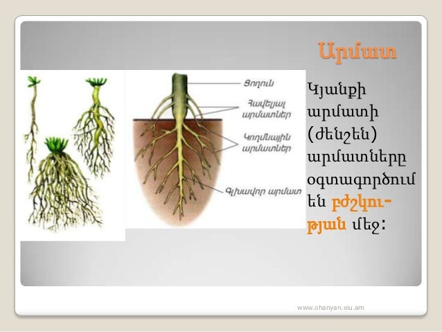 See the source image