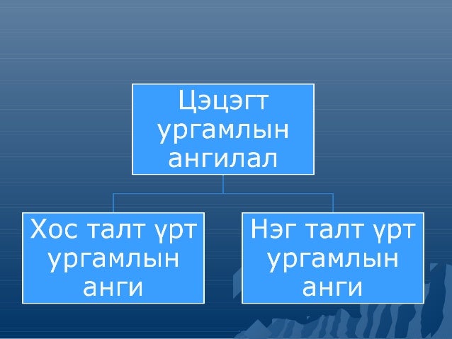 амьтны ангилал