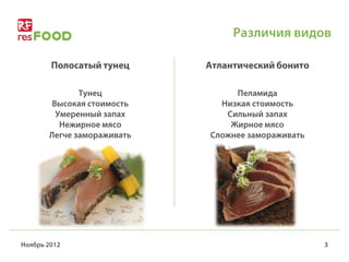 тунец бонито | PPT