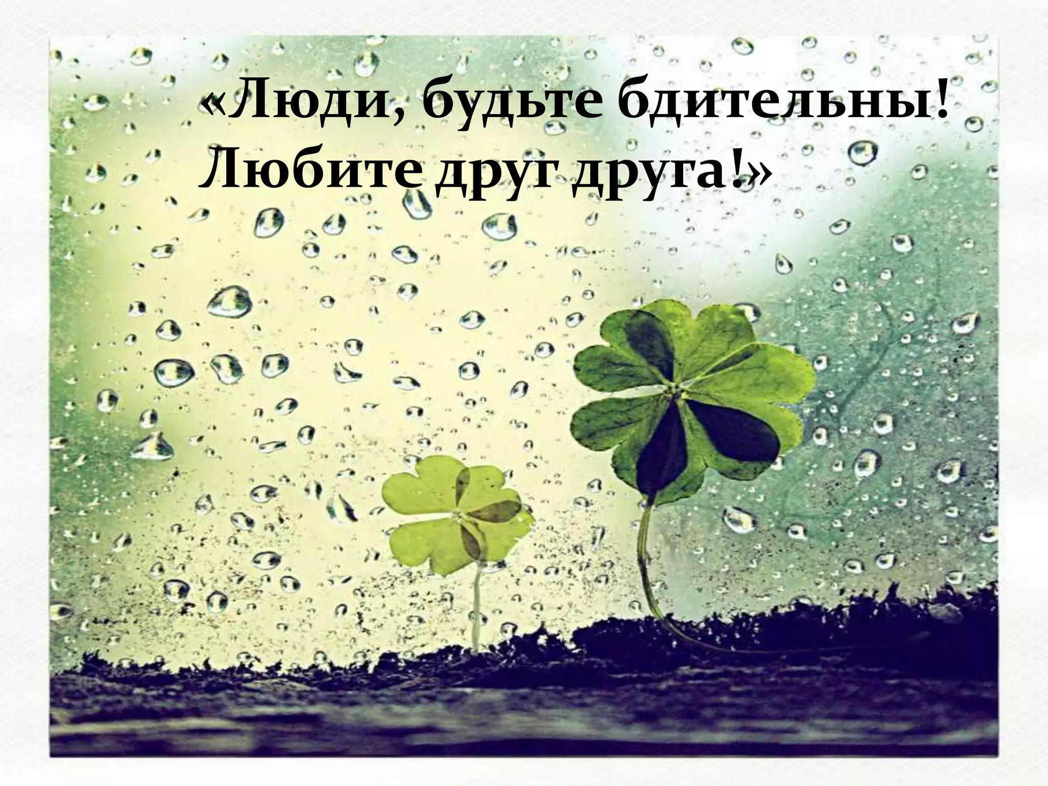 «Люди, будьте бдительны!
Любите друг друга!»
 