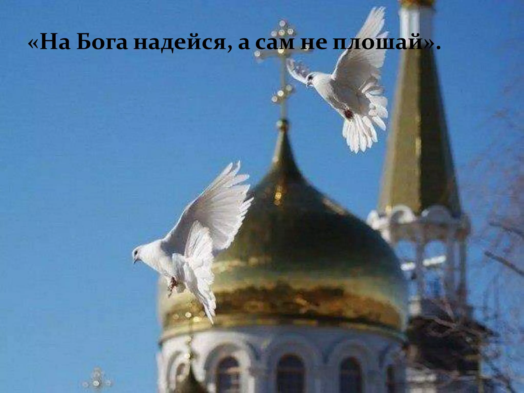 «На Бога надейся, а сам не плошай».
 