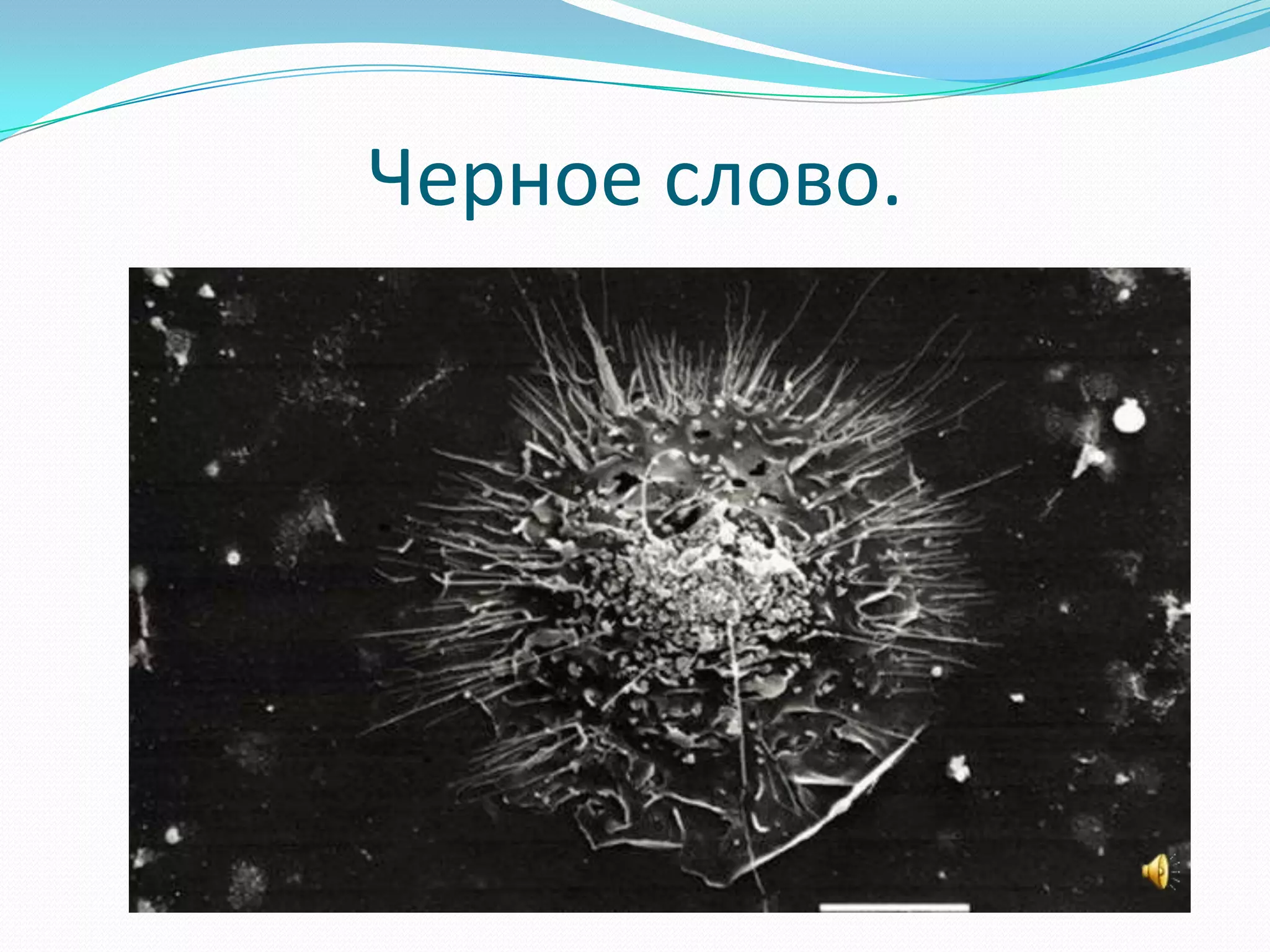 Черное слово.
 