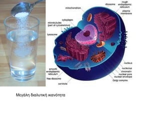 Μεγάλη διαλυτική ικανότητα
 