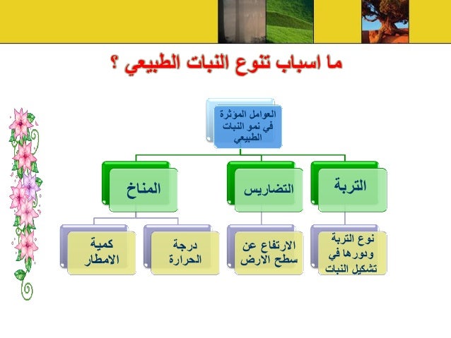 براءة اختراع Powerpoint ضارة جدًا بالعوامل الطبيعية التي تؤثر على توزيع السكان في Dsvdedommel Com
