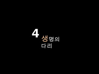 4 생 명의
  다리
 