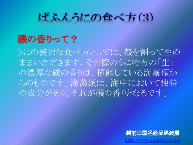 バフンウニとは バフンウニとは