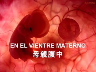 XuY/110122




     EN EL VIENTRE MATERNO
                    母 親 腹中
Um feto de poucas semanas encontra-se
               no interior do útero de sua mãe.
                            Ria slides
 