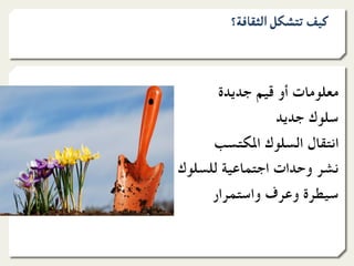‫ﻛﻴﻒ ﺗﺘﺸﻜﻞ اﻟﺜﻘﺎﻓﺔ؟‬



      ‫ﻣﻌﻠﻮﻣﺎت أو ﻗﻴﻢ ﺟﺪﻳﺪة‬
                ‫ﺳﻠﻮك ﺟﺪﻳﺪ‬
     ‫اﻧﺘﻘﺎل اﻟﺴﻠﻮك اﳌﻜﺘﺴﺐ‬
‫ﻧﺸﺮ وﺣﺪات اﺟﺘﻤﺎﻋﻴﺔ ﻟﻠﺴﻠﻮك‬
     ‫ﺳﻴﻄﺮة وﻋﺮف واﺳﺘﻤﺮار‬
 
