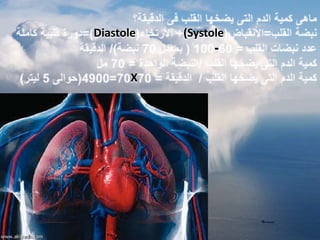 Diastole   (Systole
                 -

       X
 