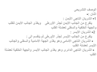 -
    -


    -

    -

    -
 