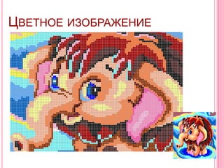 ЦВЕТНОЕ ИЗОБРАЖЕНИЕ
 
