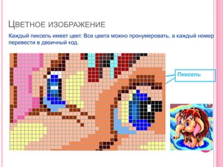 ЦВЕТНОЕ ИЗОБРАЖЕНИЕ
Каждый пиксель имеет цвет. Все цвета можно пронумеровать, а каждый номер
перевести в двоичный код.




                                                           Пиксель
 