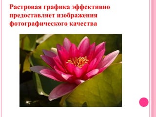 Растровая графика эффективно
предоставляет изображения
фотографического качества
 