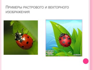 ПРИМЕРЫ РАСТРОВОГО И ВЕКТОРНОГО
ИЗОБРАЖЕНИЯ
 