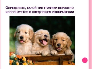 ОПРЕДЕЛИТЕ, КАКОЙ ТИП ГРАФИКИ ВЕРОЯТНО
ИСПОЛЬЗУЕТСЯ В СЛЕДУЮЩЕМ ИЗОБРАЖЕНИИ
 