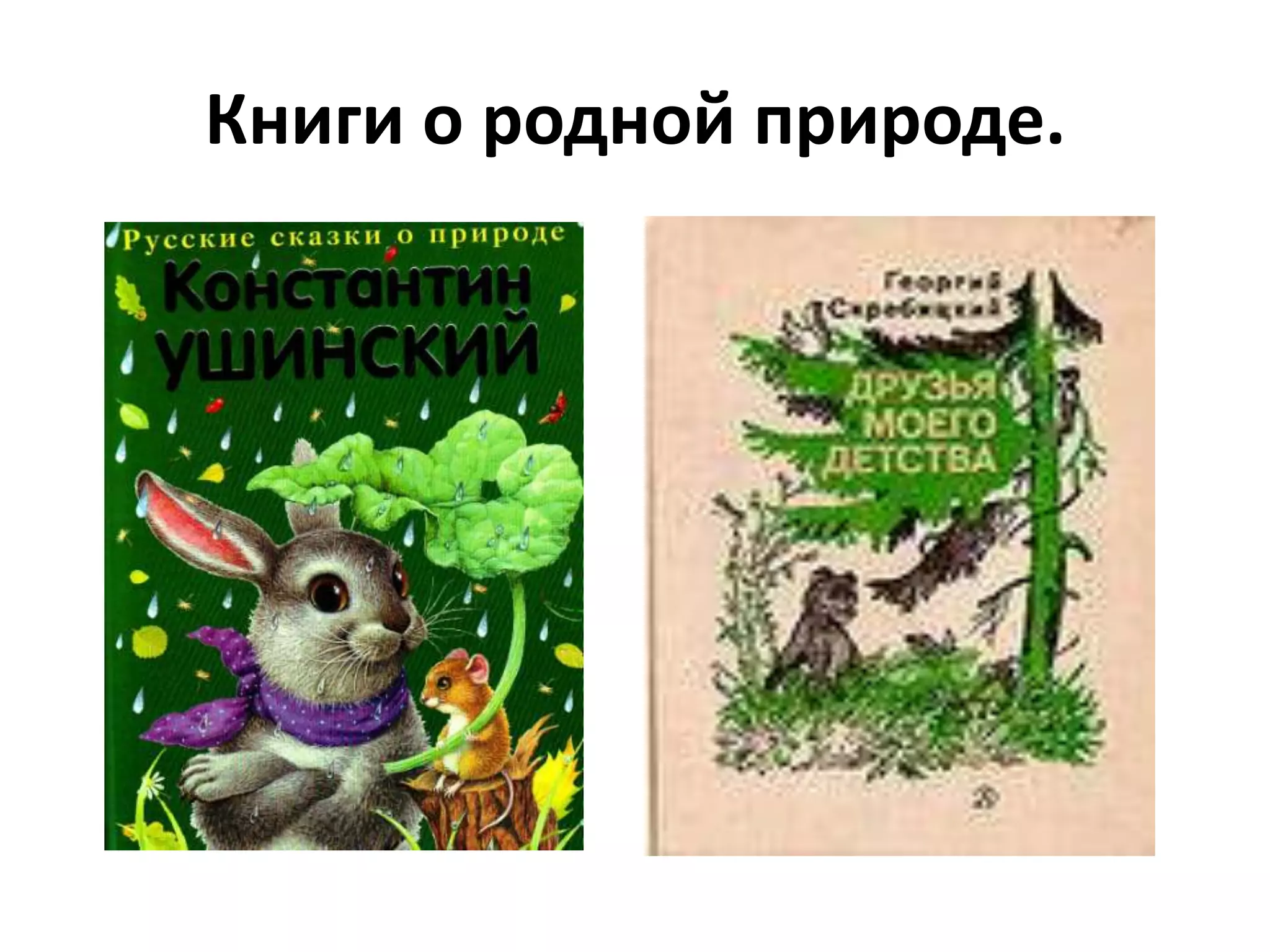 Книги о родной природе.
 