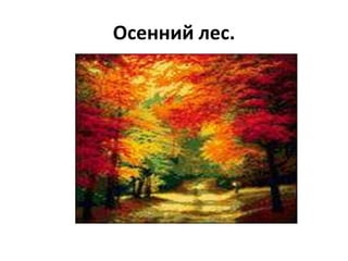 Осенний лес.
 