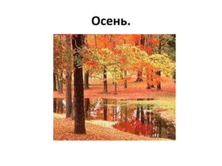 Осень.
 