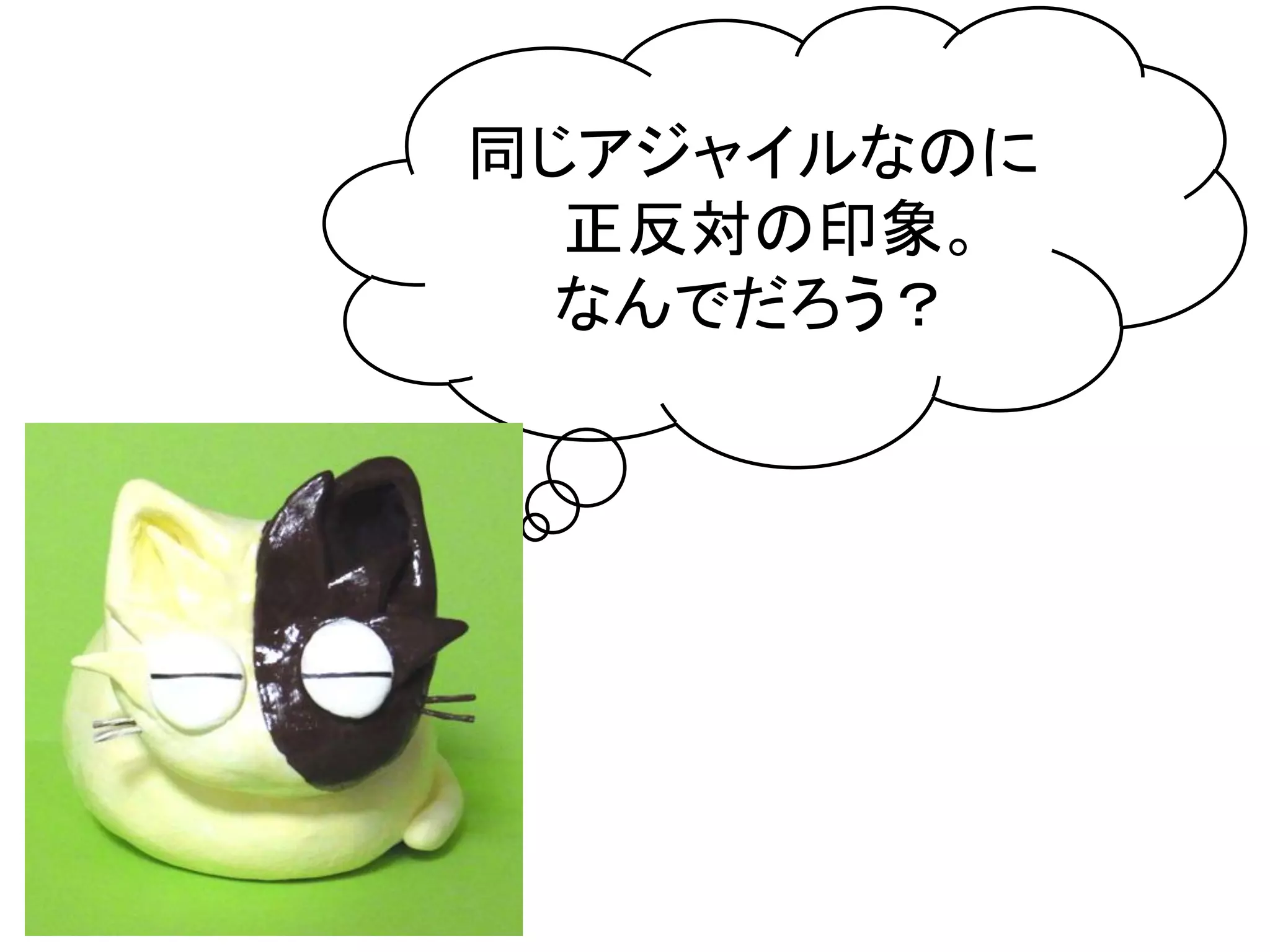 同じアジャイルなのに
  正反対の印象。	
  
  なんでだろう？	
 