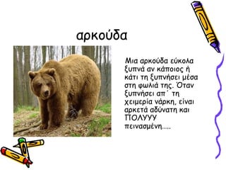 ακούδα
      Μια ακούδα εύκολα
      ξυπνά αν κάποιος ή
      κάτι τη ξυπνήσει μέσα
      στη φωλιά της. Όταν
      ξυπνήσει απ΄ τη
      χειμερία νάρκη, είναι
      αρκετά αδύνατη και
      ΠΟΛΥΥΥ
      πεινασμένη…..
 