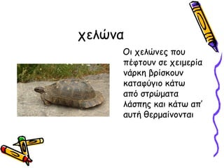 χελώνα
     Οι χελώνες που
     πέφτουν σε χειμερία
     νάρκη βρίσκουν
     καταφύγιο κάτω
     από στρώματα
     λάσπης και κάτω απ’
     αυτή θερμαίνονται
 