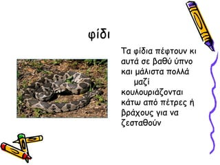 φίδι
       Τα φίδια πέφτουν κι
       αυτά σε βαθύ ύπνο
       και μάλιστα πολλά
          μαζί
       κουλουριάζονται
       κάτω από πέτρες ή
       βράχους για να
       ζεσταθούν
 