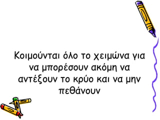 Κοιμούνται όλο το χειμώνα για
   να μπορέσουν ακόμη να
 αντέξουν το κρύο και να μην
         πεθάνουν
 
