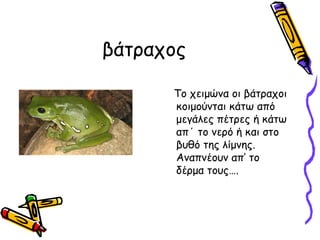 βάταχος

      Το χειμώνα οι βάτραχοι
      κοιμούνται κάτω από
      μεγάλες πέτρες ή κάτω
      απ΄ το νερό ή και στο
      βυθό της λίμνης.
      Αναπνέουν απ’ το
      δέρμα τους….
 