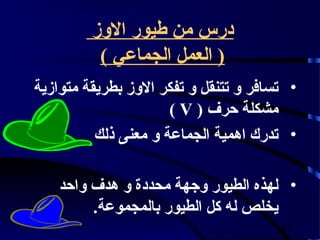 ‫درس من فطيور الوز‬
          ‫( العمل الجماعي )‬
‫• تسافر و تتنقل و تفكر الوز بطريقة متوازية‬
                      ‫مشكلة حرف ( ‪) V‬‬
          ‫• تدرك اهمية الجماعة و معنى ذلك‬

    ‫• لهذه الطيور وجهة محددة و هدف واحد‬
         ‫يخلص له كل الطيور بالمجموعة.‬
                                       ‫21‬
 