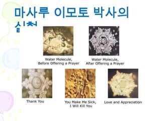 마사루 이모토 박사의
실험
 