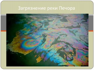 Загрязнение реки Печора
 