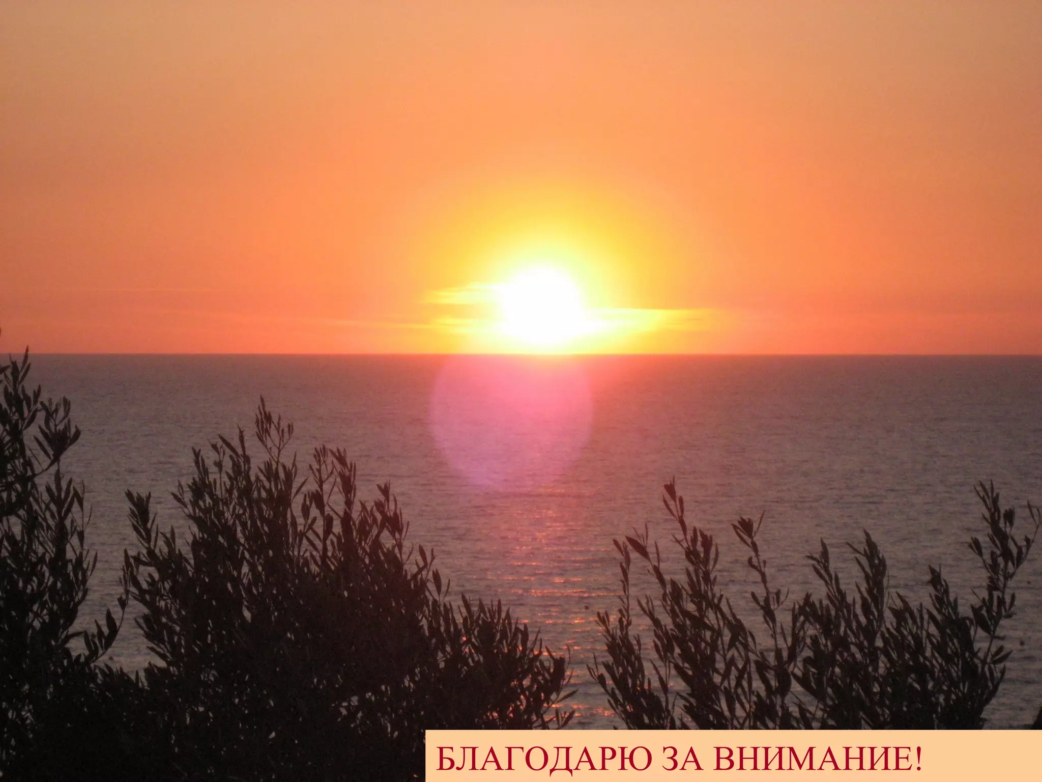 БЛАГОДАРЮ ЗА ВНИМАНИЕ!
 
