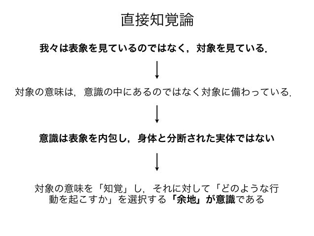 視覚認知システムにおける知覚と推論