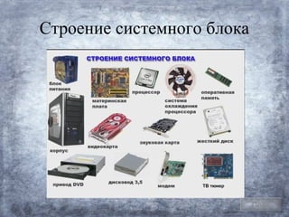 Строение системного блока




                            План
 