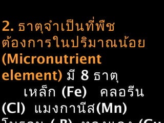 2. ธาตุจ ำา เป็น ที่พ ืช
ต้อ งการในปริม าณน้อ ย
(Micronutrient
element) มี 8 ธาตุ
    เหล็ก (Fe) คลอรีน
(Cl) แมงกานีส (Mn)
 
