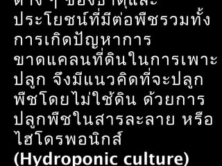 ต่า ง ๆ ของธาตุแ ละ
ประโยชน์ท ี่ม ีต ่อ พืช รวมทั้ง
การเกิด ปัญ หาการ
ขาดแคลนที่ด ิน ในการเพาะ
ปลูก จึง มีแ นวคิด ที่จ ะปลูก
พืช โดยไม่ใ ช้ด ิน ด้ว ยการ
ปลูก พืช ในสารละลาย หรือ
ไฮโดรพอนิก ส์
(Hydroponic culture)
 