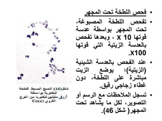 ‫فحص اللطخة تحت المجهر‬    ‫•‬
‫تفحص اللطخة المصبوغة،‬        ‫•‬
‫تحت المجهر بواسطة عدسة‬
‫قوتها 01 ‪ ، X‬وبعدها تفحص‬
‫بالعدسة الزيتية التي قوتها‬
                    ‫001‪.X‬‬
‫عند الفحص بالعدسة الشيئية‬    ‫•‬
‫(الزيتية)؛ يوضع الزيت‬
‫مباشرة على اللطخة، دون‬
         ‫غطاء زجاجي رقيق.‬
‫تسجل المالحظات مع الرسم أو‬   ‫•‬
‫التصوير، لكل ما يشاهد تحت‬
          ‫المجهر( شكل 64).‬
 