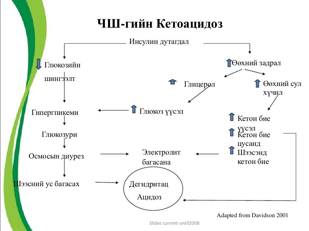 чихрийн шижин