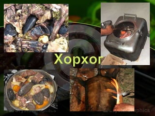 шорлог хорхогийн талаар | PPT