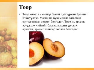 Тоор
• Тоор жимс нь калиар баялаг тул зүрхны булчинг
  бэхжүүлдэг. Магни нь бухимдлыг багасгаж
  сэтгэл санааг өөдрөг болгодог. Тоор нь арьсны
  эсүүд дэх чийгийг барьж, арьсны үрчлээг
  арилган, арьсыг толигор зөөлөн болгодог.
 