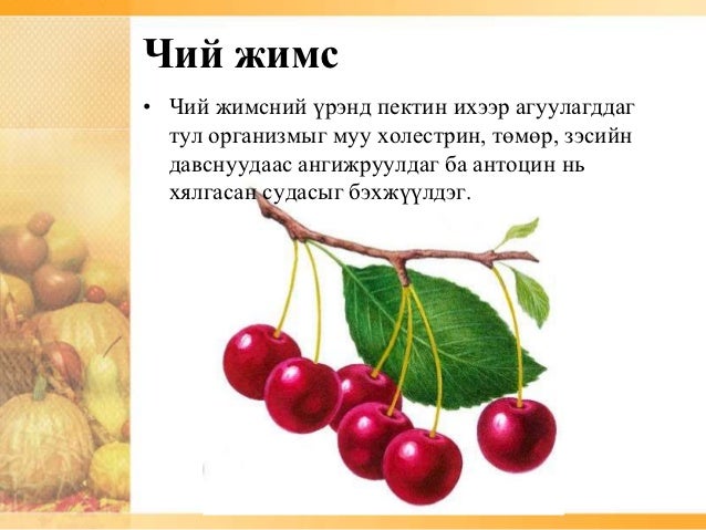 жимс.эрдэнэчухал