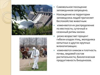    Самовольное посещение
    заповедников запрещено.
   Нахождение на территории
    заповедника людей причиняет
    беспокойство животным:
   изменяются их распределение
    по местности, суточный и
    сезонный ритмы жизни.
   резко возрастает процент
    гибели кладок птиц, молодняка
    копытных и других крупных
    млекопитающих.
   изменяются химизм и плотность
    почвы, видовой состав
    растительности, биологическая
    продуктивность биоценозов.
 