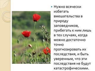    Нужно всячески
    избегать
    вмешательства в
    природу
    заповедников,
    прибегать к ним лишь
    в тех случаях, когда
    можно достаточно
    точно
    прогнозировать их
    последствия, и быть
    уверенным, что эти
    последствия не будут
    катастрофическими.
 