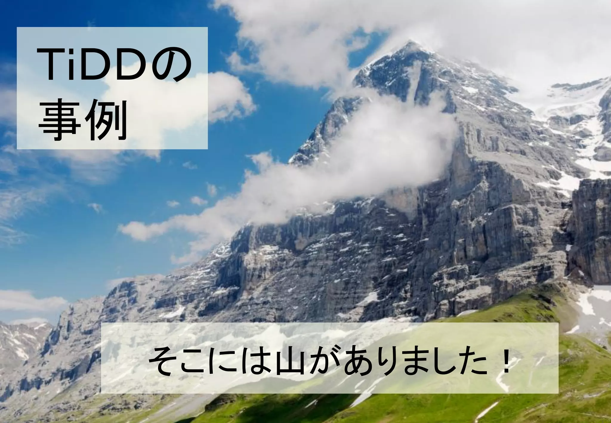 ＴｉＤＤの
事例




   そこには山がありました！
                  28
 