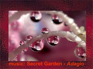 music: Secret Garden - Adagio