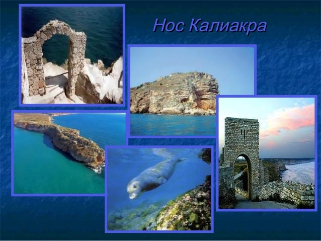 българско черноморско крайбрежие