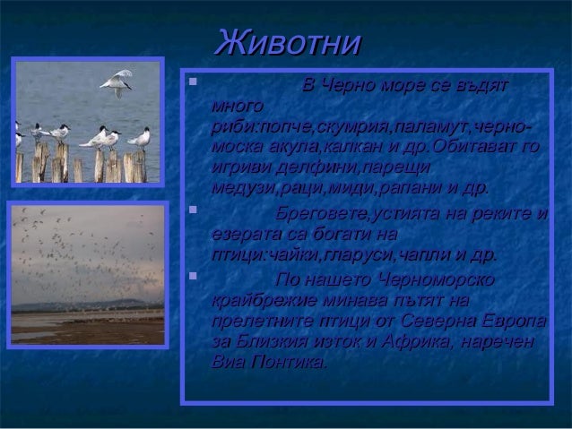 българско черноморско крайбрежие