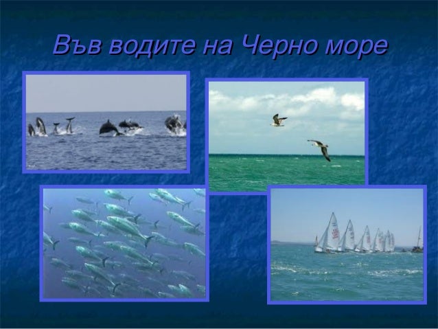 българско черноморско крайбрежие
